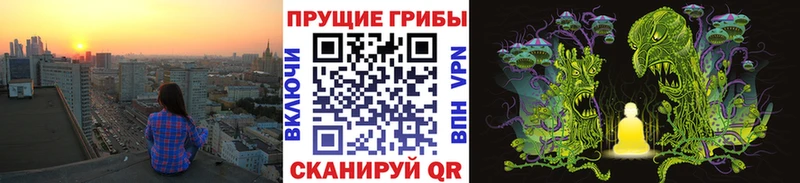 наркота  Киреевск  Псилоцибиновые грибы Magic Shrooms 