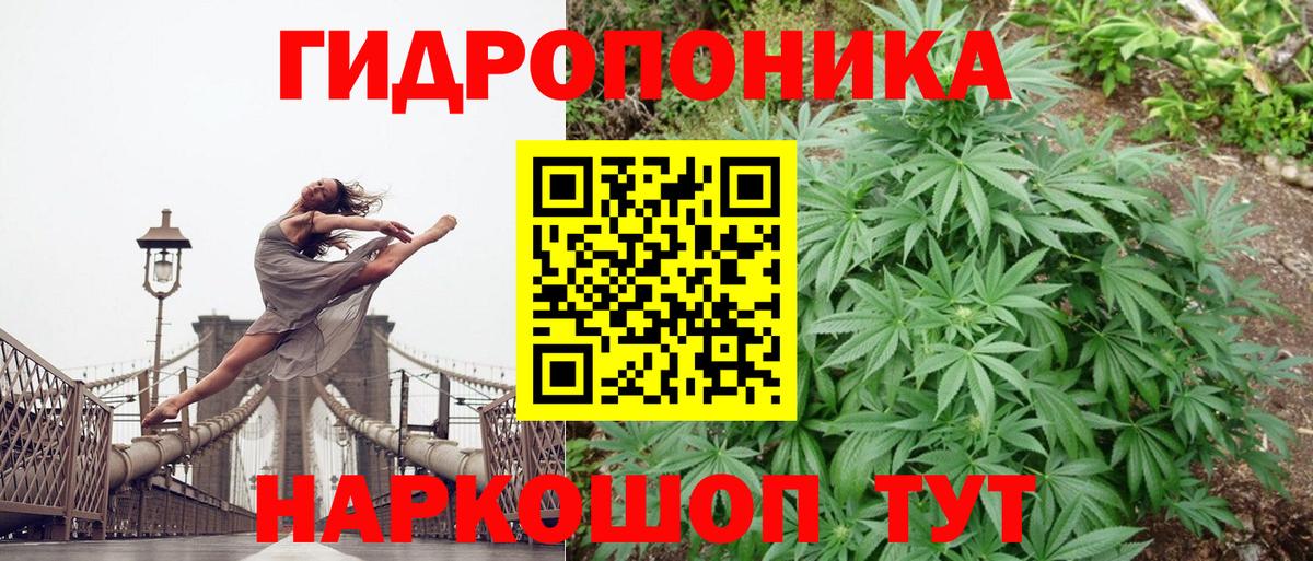 Киреевск  Марихуана индика  Шишки марихуана тримм  Шишки марихуана сатива  Вход с VPN  Шишки марихуана SATIVA & INDICA 